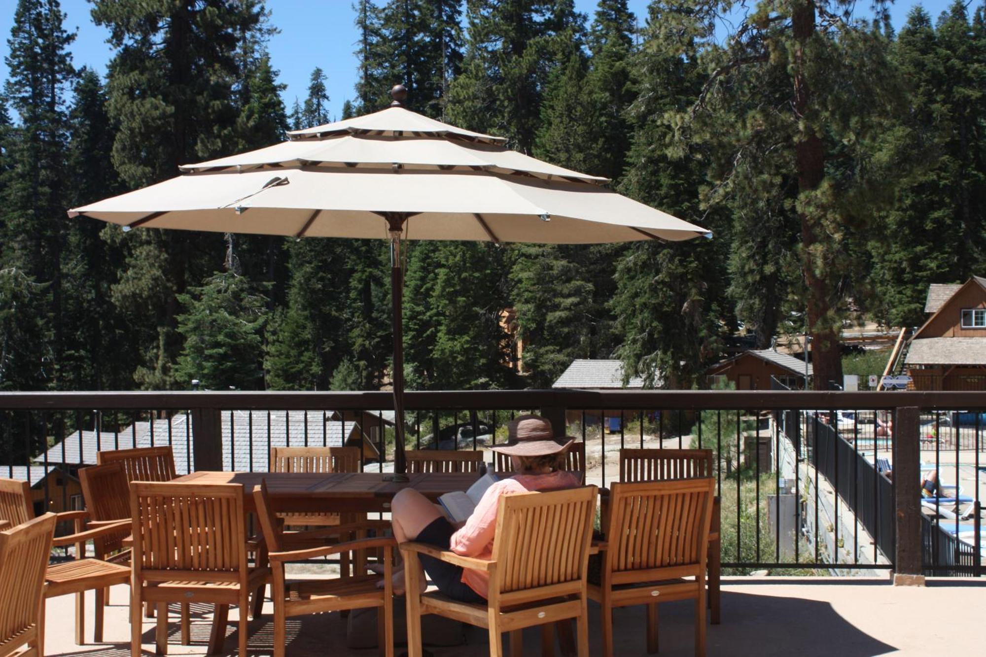Montecito Sequoia
