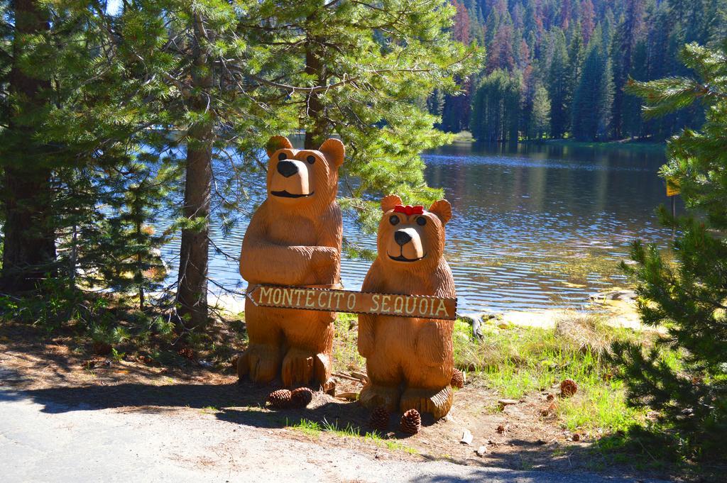 Lodge Montecito Sequoia